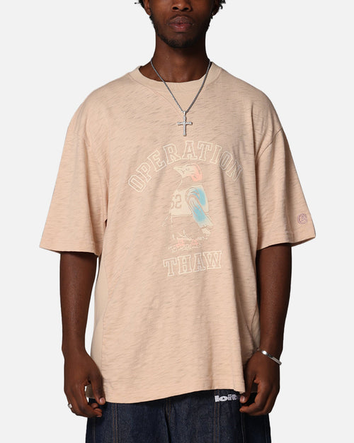 Champion RW Expansion T-Shirt Mocha