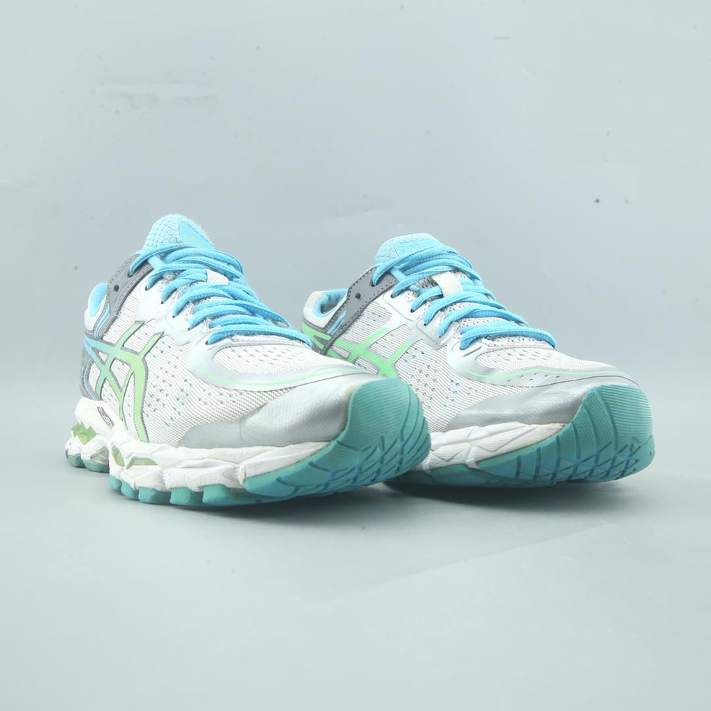 ASICS GEL KAYANO 22