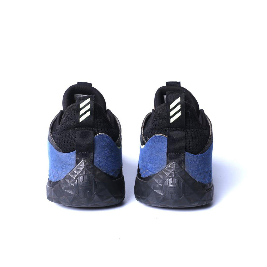 ADIDAS HARDEN VOL. 5 FUTURENATURAL